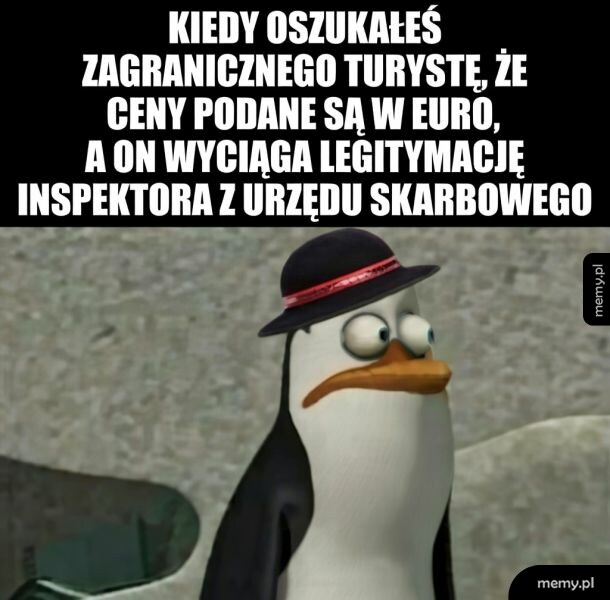 Pingwin w kapeluszu z wyłupiastymi oczami