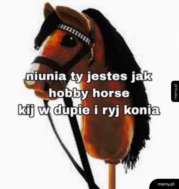 Zabawka hobby horse na białym tle z zabawnym podpisem