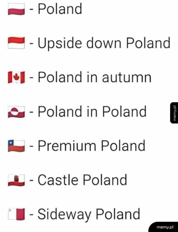 Mem z flagami różnych państw podpisanymi jako wersje Polski.
