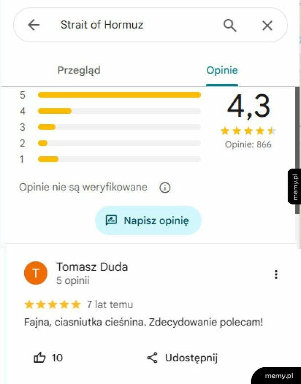 Zrzut ekranu z opiniami Google dla Cieśniny Ormuz z ironiczną recenzją