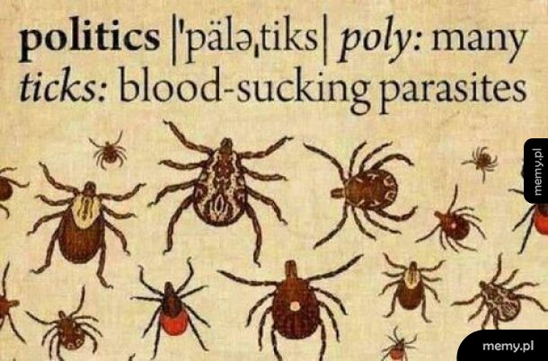 Grafika z definicją słowa politics jako połączenia poly i ticks oraz rysunkami kleszczy.