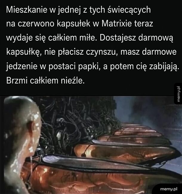 Kadr z filmu Matrix przedstawiający kapsułki z ludźmi