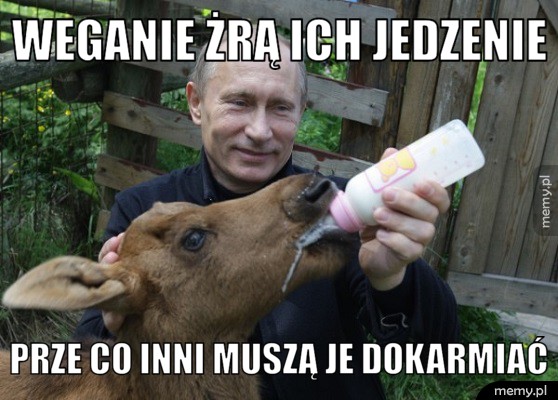 Okropni weganie!