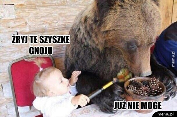 Żryj te szyszki