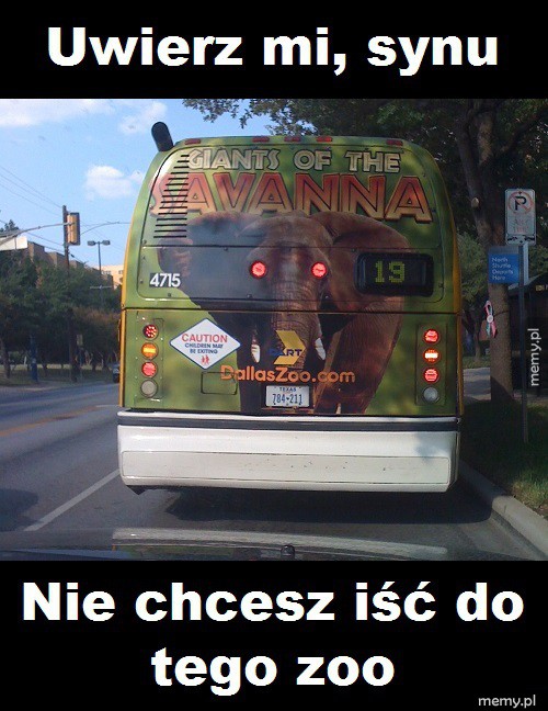 Zaufaj mi, synu