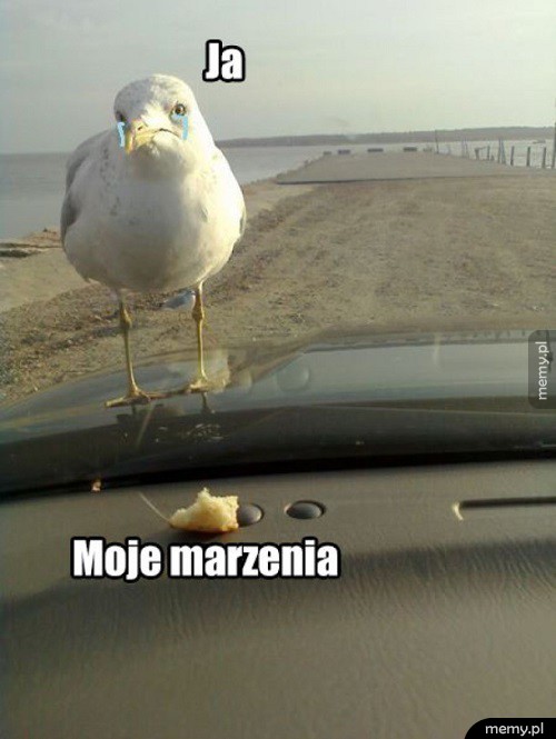 Marzenia