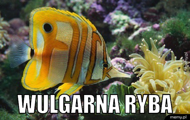 Wulgarna ryba. 