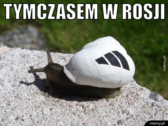 Tymczasem