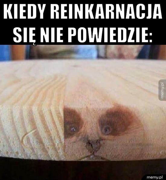 Reinkarnacja