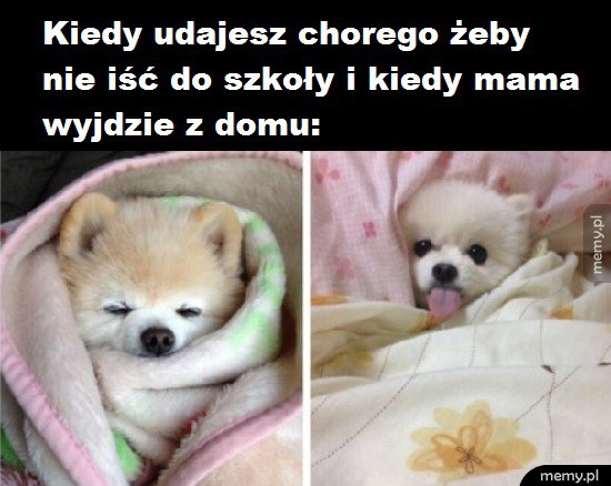 Kiedy udajesz chorego
