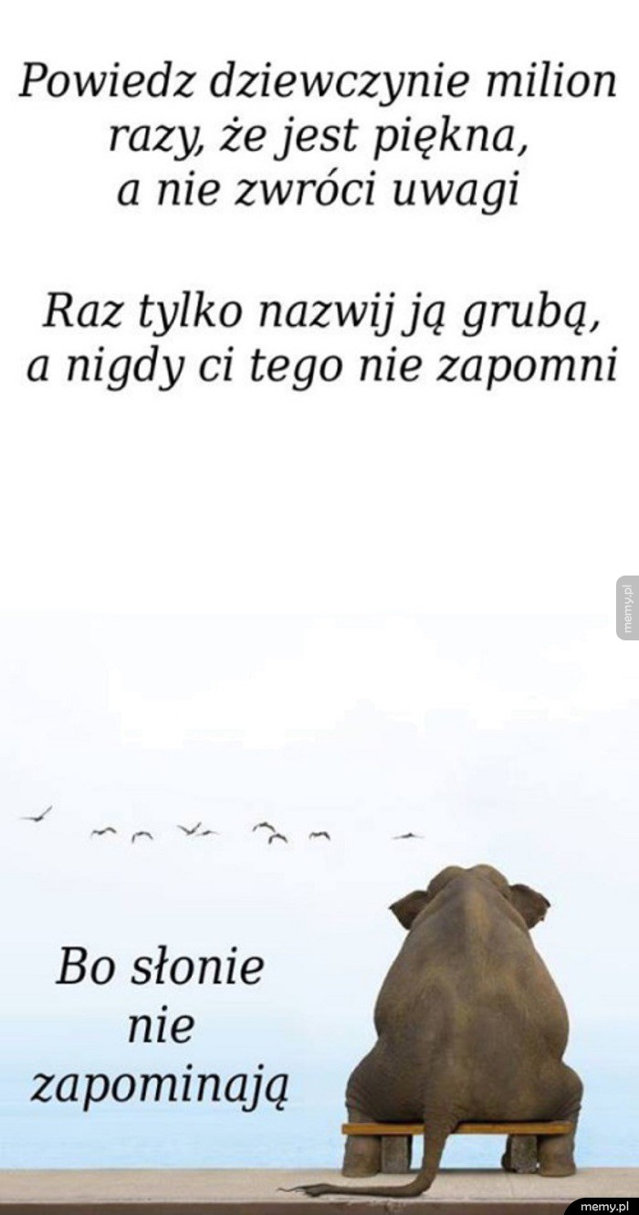 Prawda
