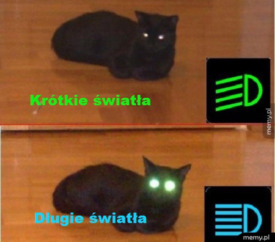 Światła