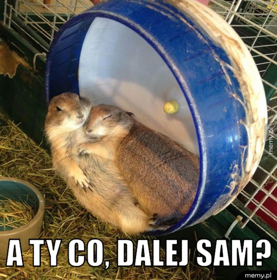 A ty co, dalej sam?