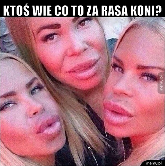 Ktoś rozpoznaje?