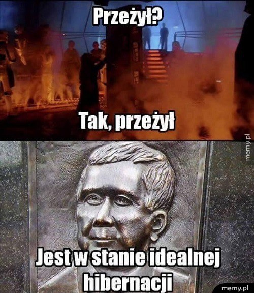 Hibernacja