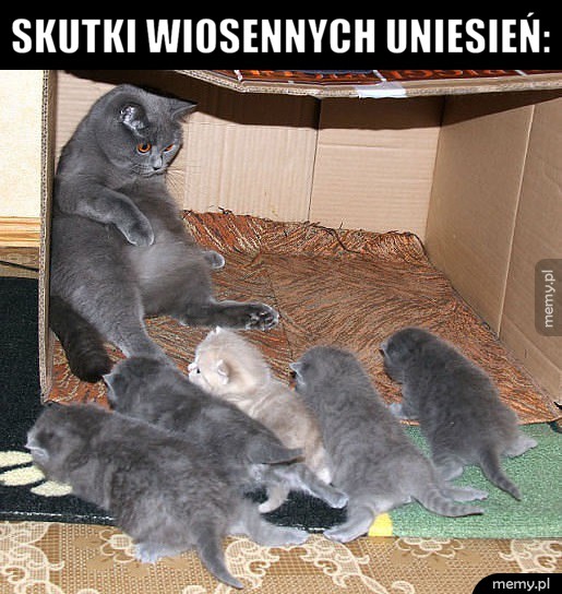 Tak bywa ;) 
