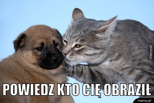 Starszy brat