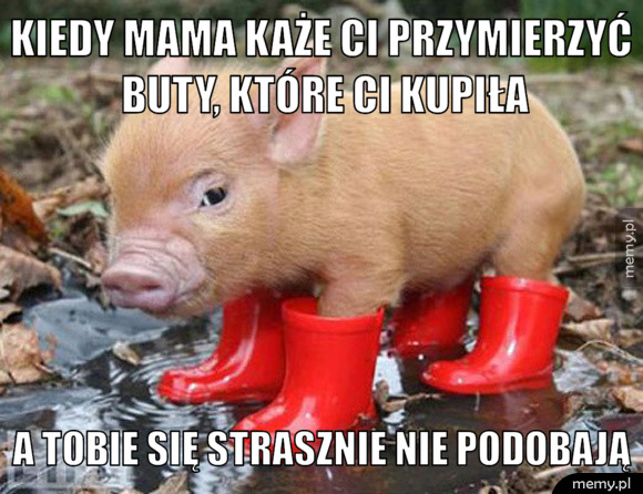 Nowe buty
