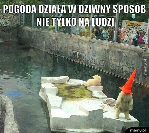                Pogoda.