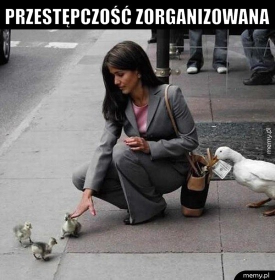 Dają radę