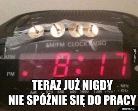 Już nigdy