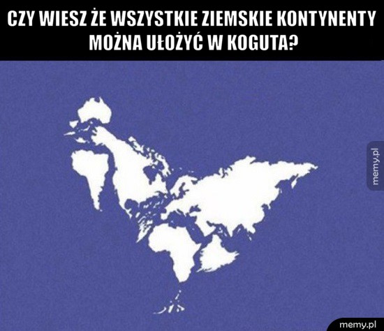 Ciekawostka na dziś