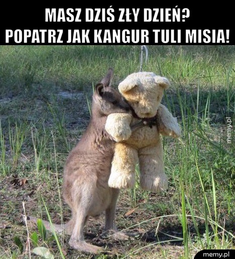 To na pewno poprawi Twój dzień!
