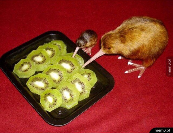 Kiwi