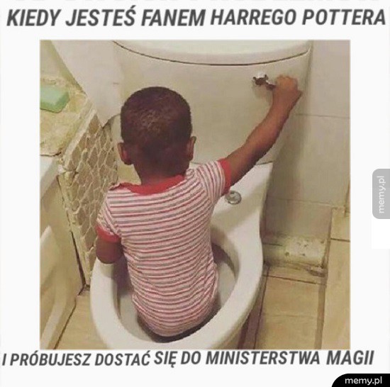 Harry Potter