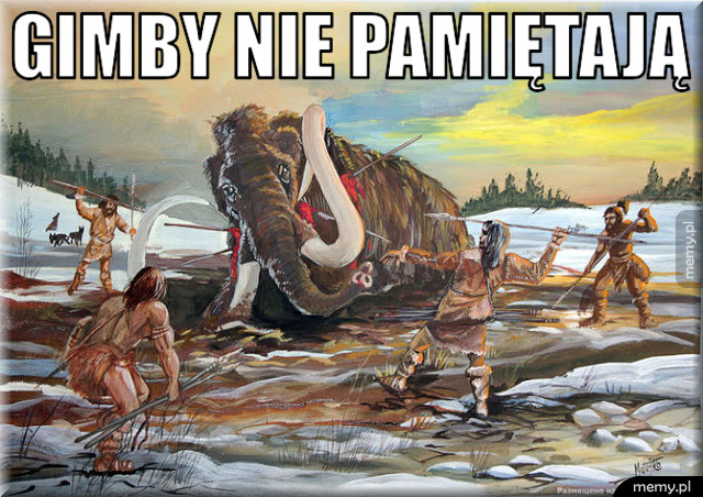 Gimby nie pamiętają                                 