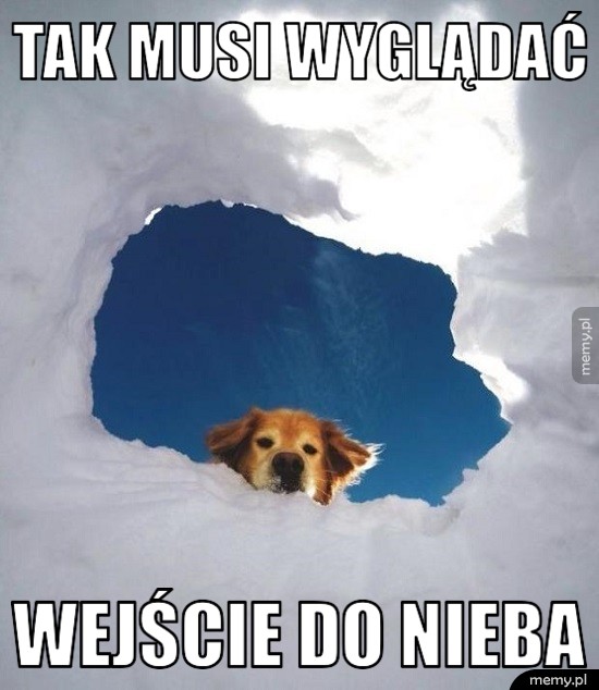 Wejście