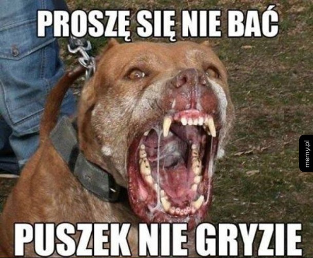 Puszek