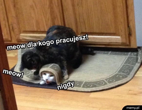 Koteły
