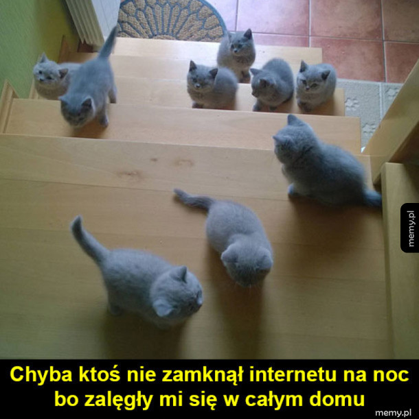 Koteły