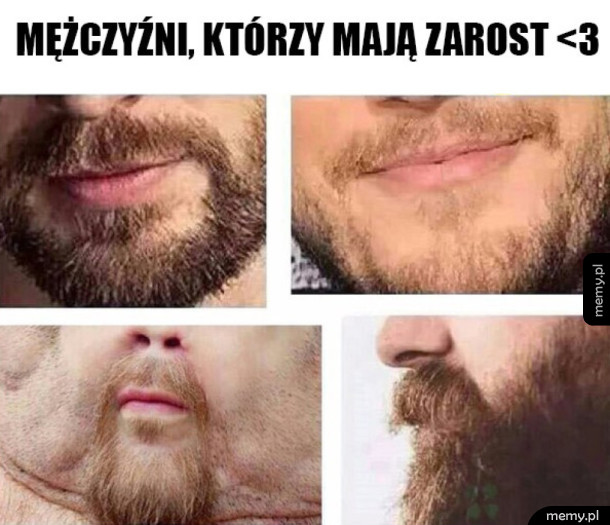 Mężczyźni z zarostem