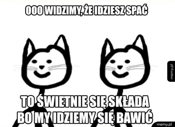Kotki takie są