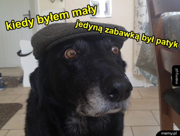 Jedyna zabawka