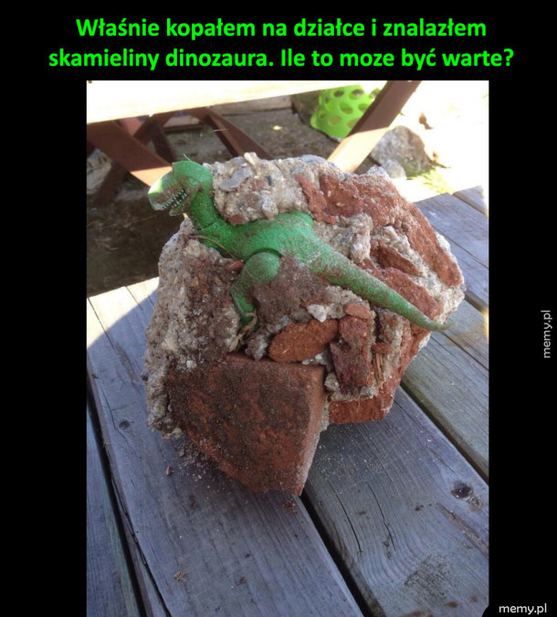 Dinozaur