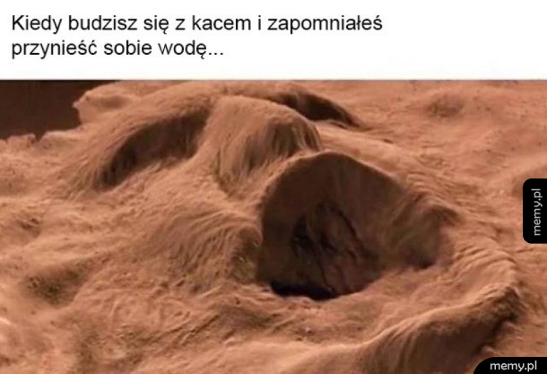 Wooodddyyy!