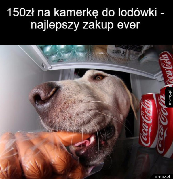 Najlepszy zakup ever