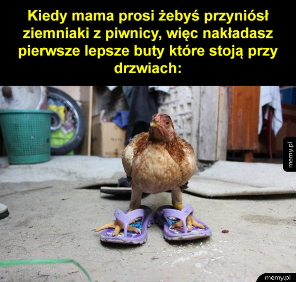 Klapki