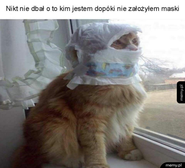 The pussycat cat!
