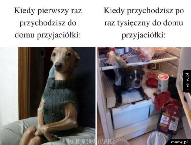 Żarcie