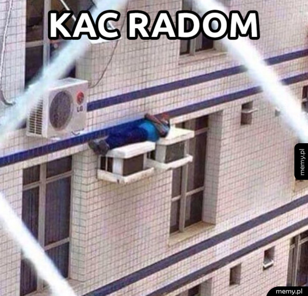 Kacyk