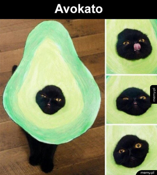 Dziwny nowy owoc