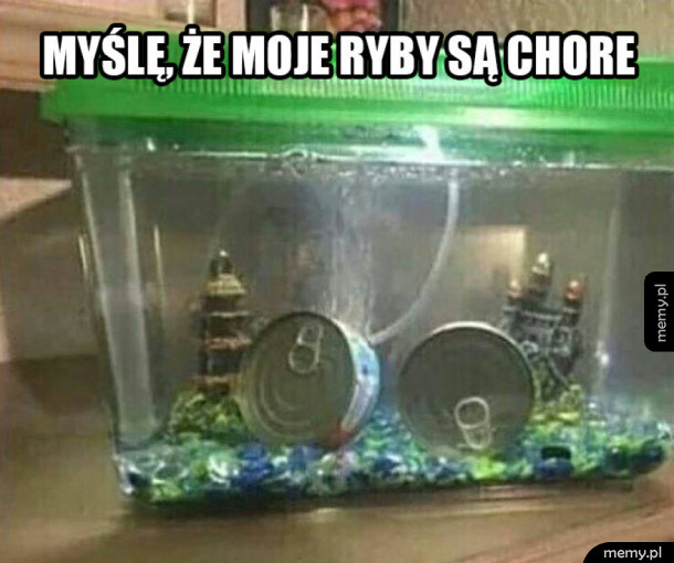 Moje ryby chorują